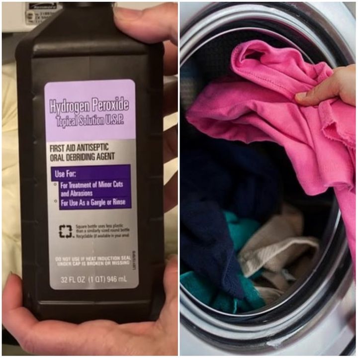 Limpieza: El truco que seguro no conoces para que los pelos de tu mascota  no atasquen la lavadora al hacer la colada
