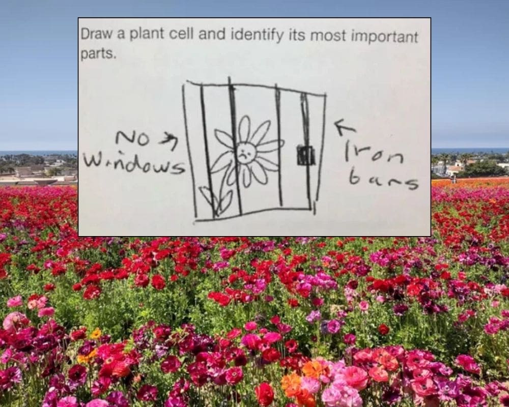 Exam Answers: Plant in a Jail Cell